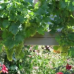 Les Arums De Fondeminjean 3* Vertheuil-en-Médoc