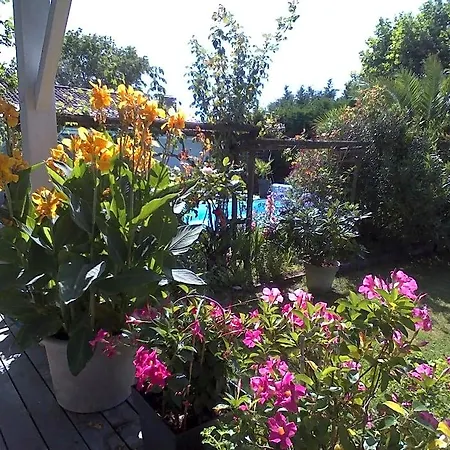 Les Arums De Fondeminjean 3* Vertheuil-en-Médoc