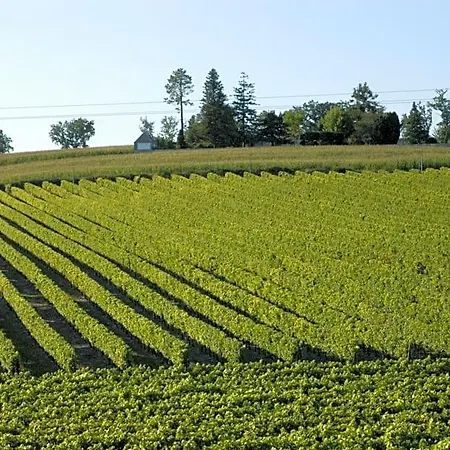 Les Arums De Fondeminjean B&B 3*