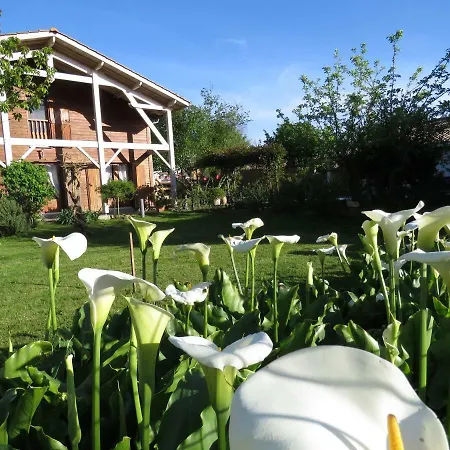 Les Arums De Fondeminjean *