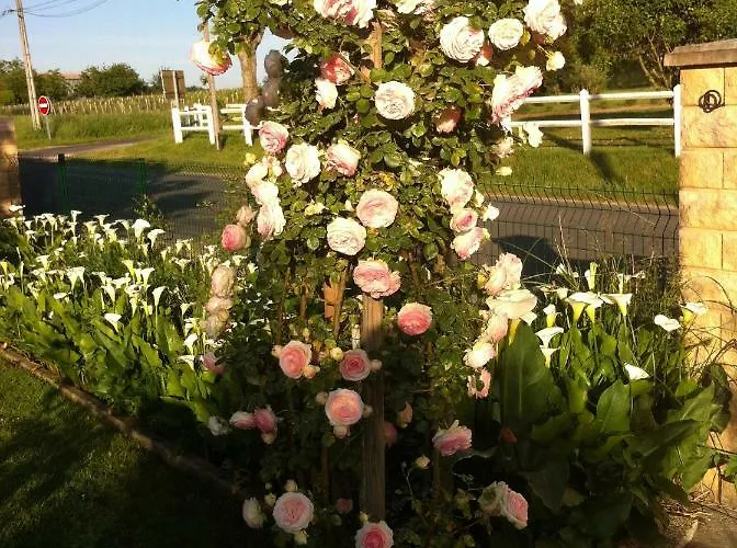 Les Arums De Fondeminjean Bed & Breakfast 3*