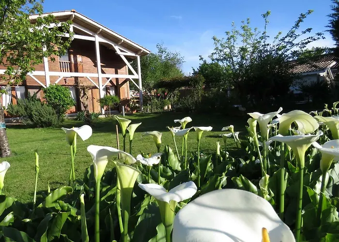 Les Arums De Fondeminjean 3*